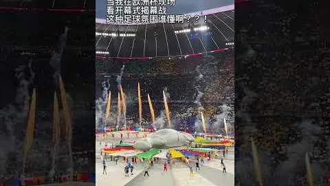申花新加盟外援实力出众，价格亲民引关注